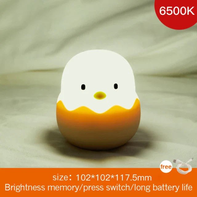 49182850122062